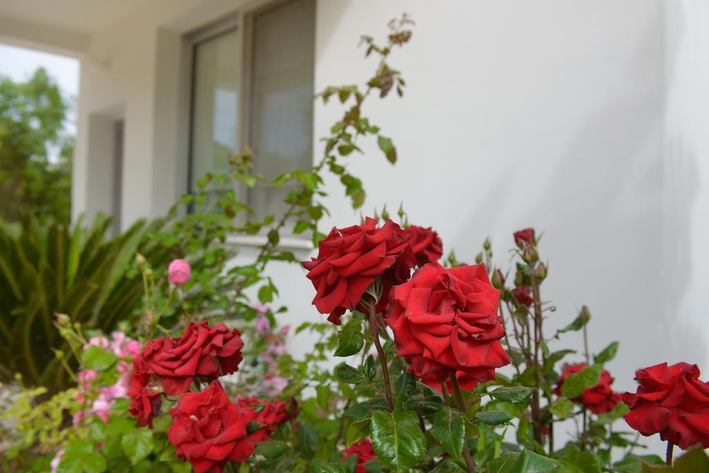 Myrtiana Villa بروتاراس المظهر الخارجي الصورة