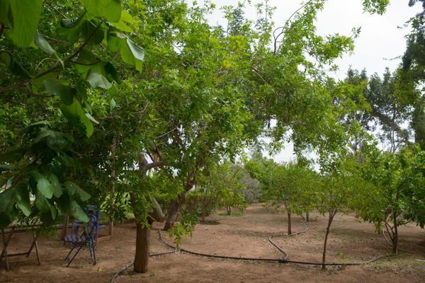Myrtiana Villa بروتاراس المظهر الخارجي الصورة